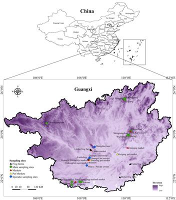 Emerging threat of ranavirus: prevalence, genetic diversity, and climatic drivers of Ranavirus (Iridoviridae) in ectothermic vertebrates of Asia